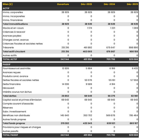 exemple de bilan prévisionnel d'entreprise de stylisme 