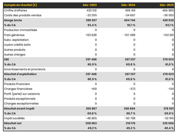 prévisionnel d'entreprise de stylisme : compte de résultat 