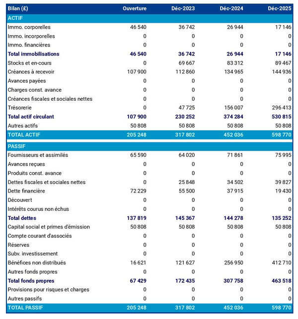 bilan comptable prévisionnel de chocolaterie industrielle