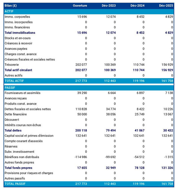 bilan comptable prévisionnel de grossiste en chocolat