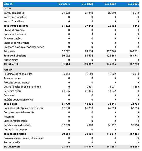 bilan comptable prévisionnel de grossiste en articles électriques