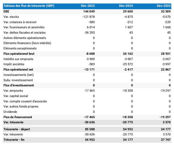 prévisionnel de trésorerie de magasin de chapeaux