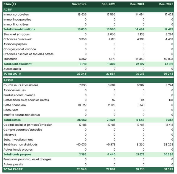 bilan comptable prévisionnel de fabricant de peinture