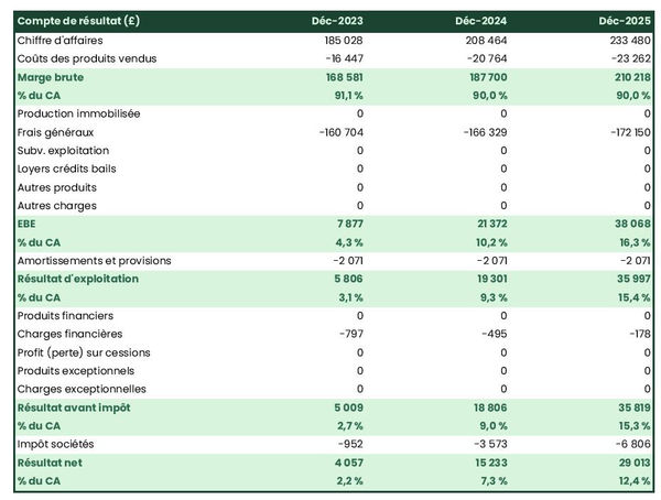 fabricant de peinture : compte de résultat prévisionnel