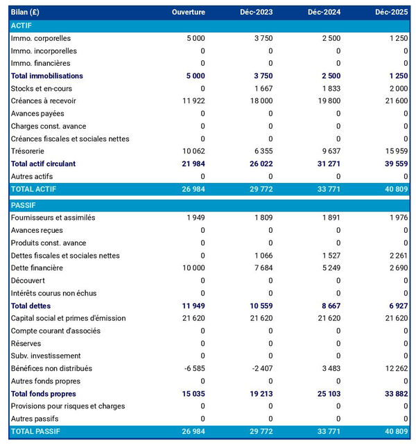 bilan comptable prévisionnel d'entreprise de taille de pierre