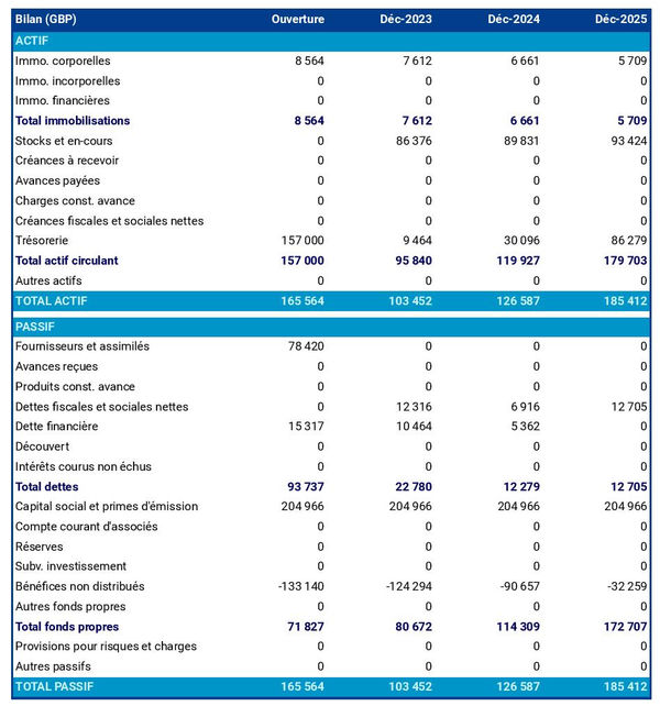 bilan comptable prévisionnel de fabricant de piles et d'accumulateurs