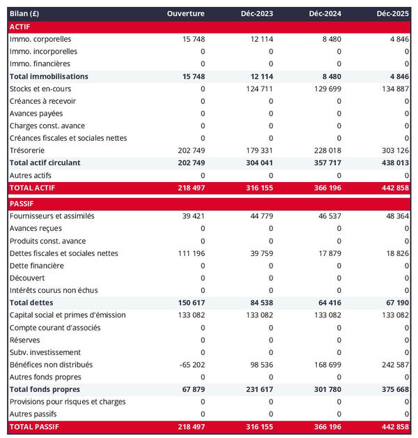 exemple de bilan de fabricant de balles de baseball dans un prévisionnel