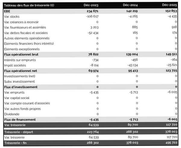 prévisionnel de trésorerie de restaurant hongrois