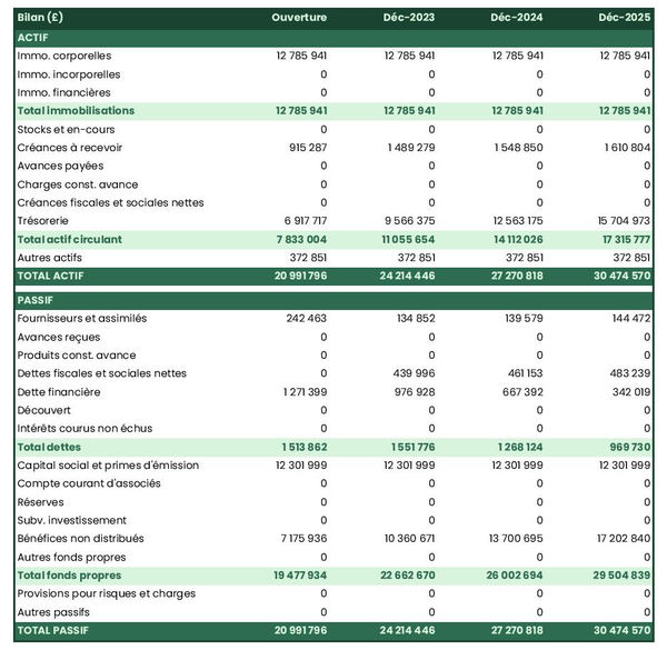 bilan comptable prévisionnel d'entreprise de travaux d'égouts