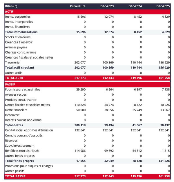bilan comptable prévisionnel de grossiste en viande et produits carnés