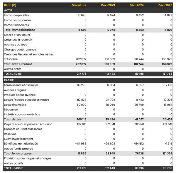 bilan comptable prévisionnel de grossiste en confiseries et sucreries