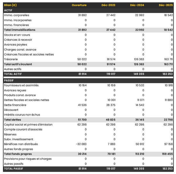 bilan comptable prévisionnel de grossiste en télécommunications