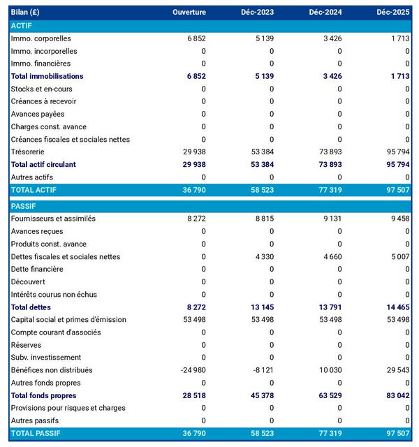 bilan comptable prévisionnel d'agence d'escortes