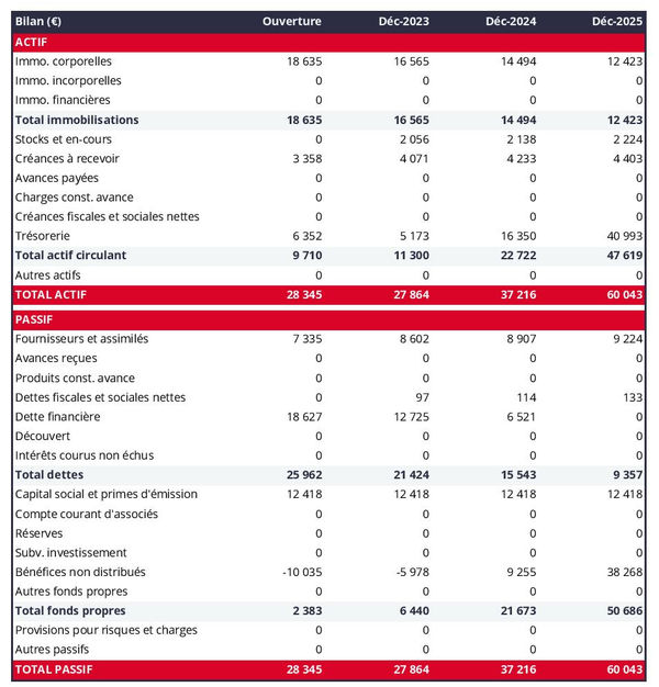 bilan comptable prévisionnel de fabricant de produits chimiques
