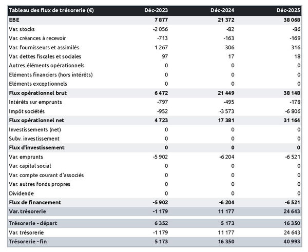 prévisionnel de trésorerie de fabricant de produits d'entretiens