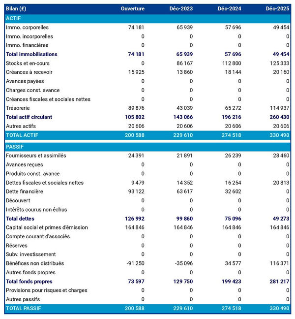 exemple de bilan de magasin d'électronique dans un prévisionnel