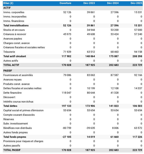 bilan comptable prévisionnel de magasin de piscine
