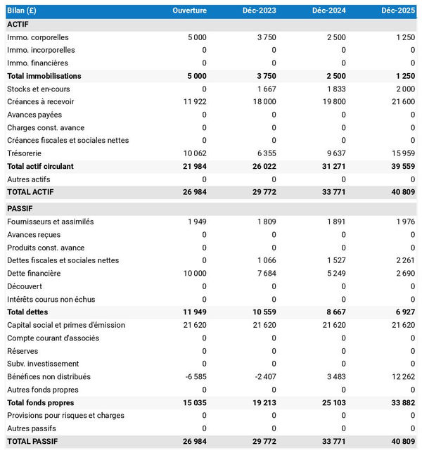 bilan comptable prévisionnel de fabricant d'armes et munitions