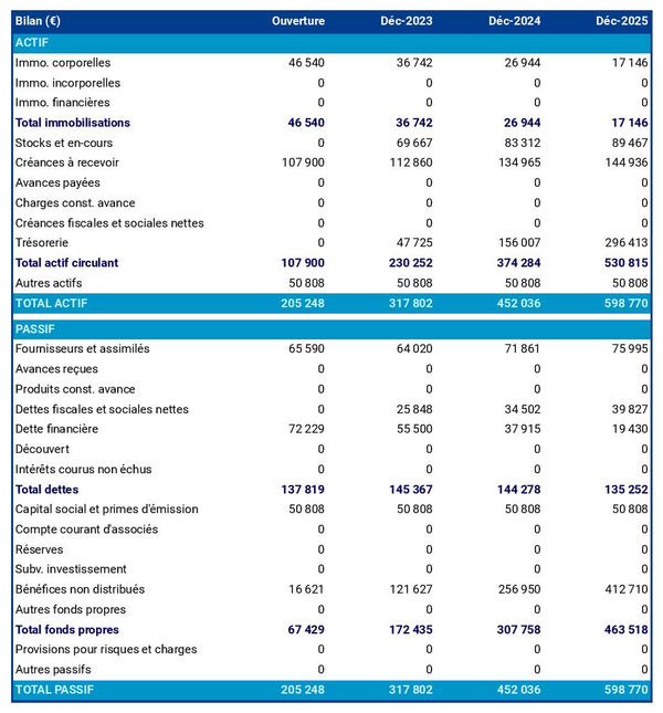 bilan comptable prévisionnel de fabricant de chips