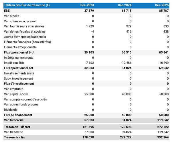 prévisionnel de trésorerie de cabinet d'évaluation des risques