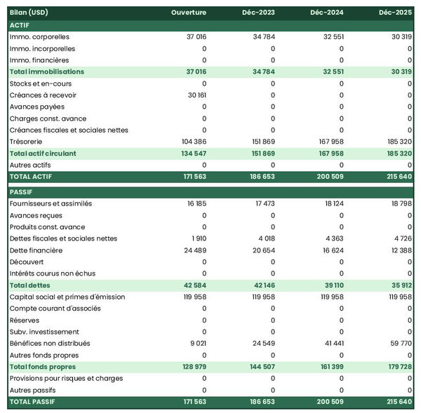 bilan comptable prévisionnel d'entreprise de location de costumes