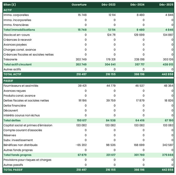 bilan comptable prévisionnel de fabricant de balles de criquet