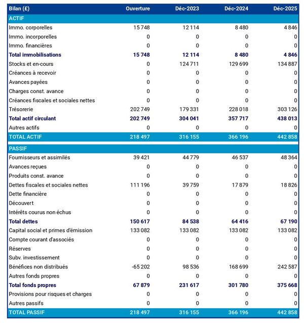 bilan comptable prévisionnel de fabricant d’articles de sport