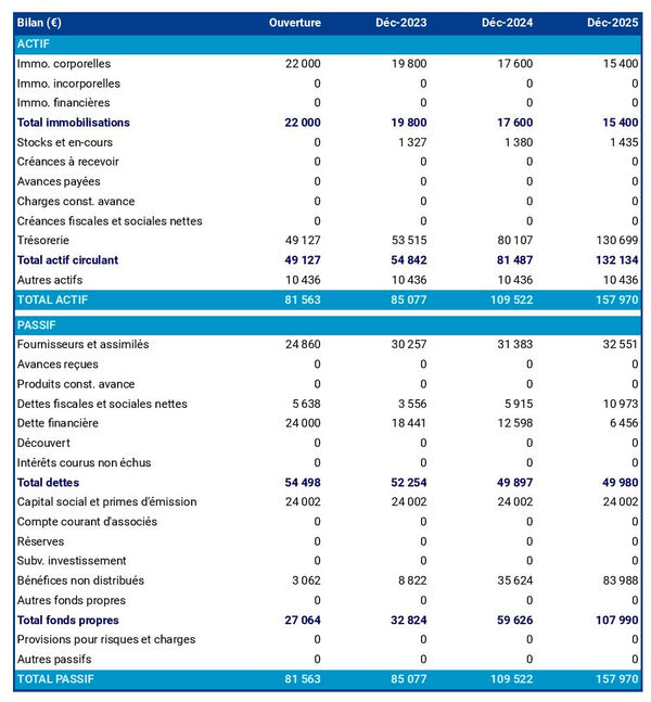 bilan comptable prévisionnel de fabricant d'instruments de musique