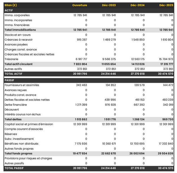 bilan comptable prévisionnel d'usine de purification d'eau