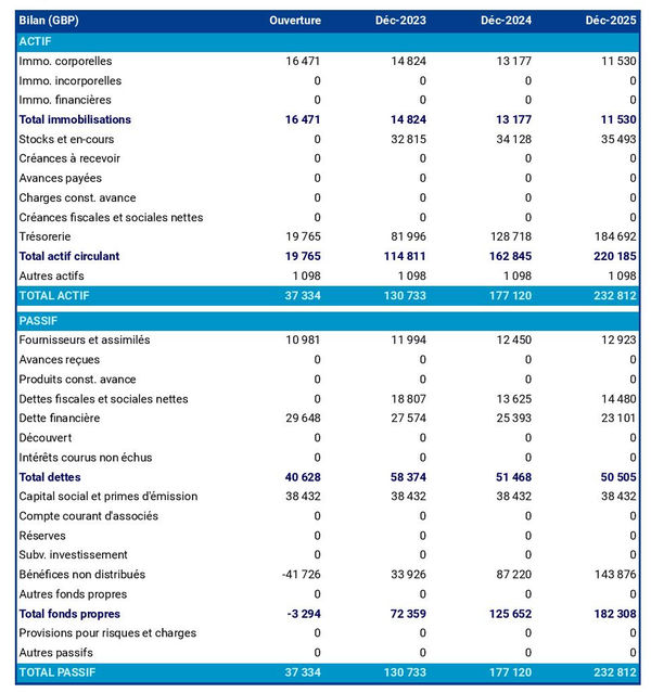 bilan comptable prévisionnel d'entreprise de démarchage à domicile