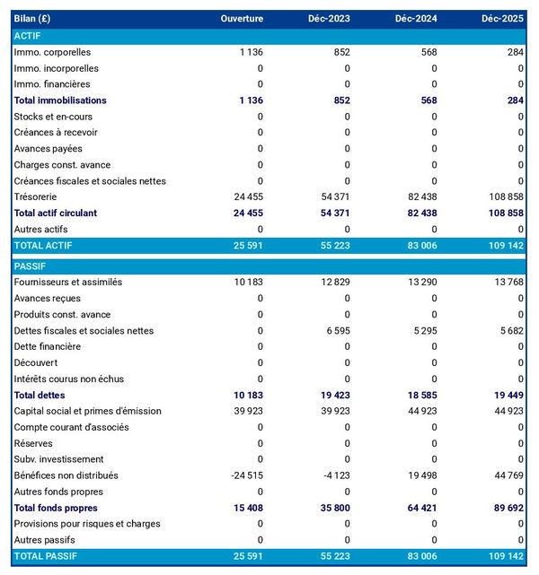 bilan comptable prévisionnel d'entreprise d'excursions en hélicoptères