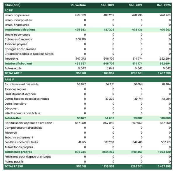 bilan comptable prévisionnel de compagnie de croisières
