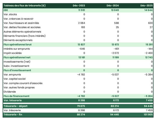 prévisionnel de trésorerie d'entreprise de stockage de bateaux