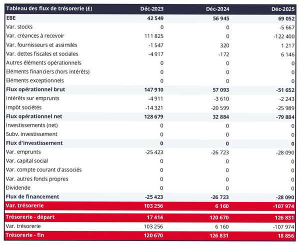 prévisionnel de trésorerie d'entreprise d'édition de logiciels