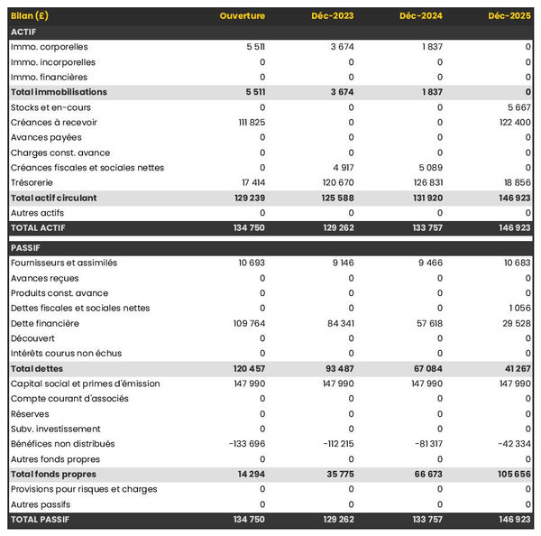 bilan comptable prévisionnel d'entreprise de traitement des données
