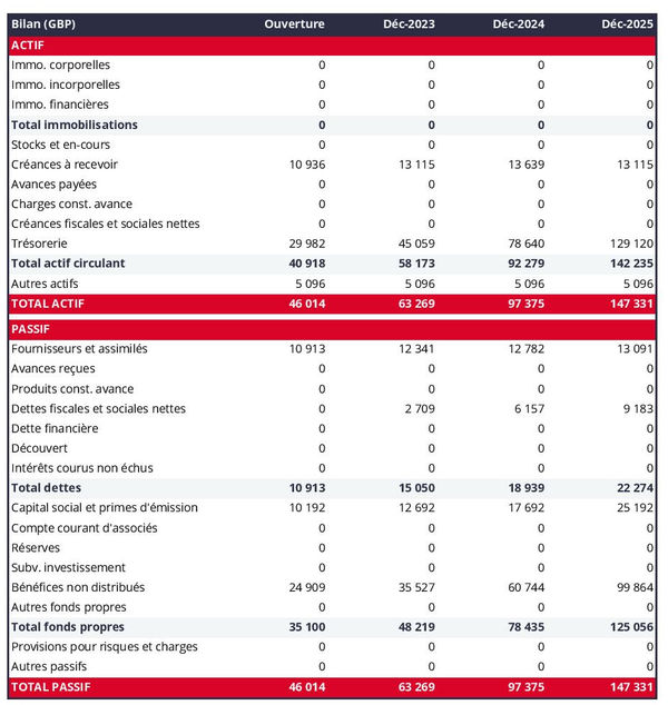 bilan comptable prévisionnel de cabinet de conseil en génie industriel