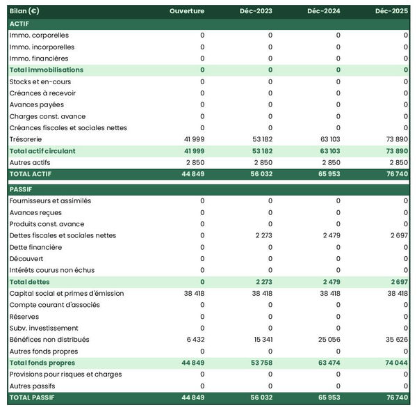 exemple de bilan d'entreprise de domiciliation dans un prévisionnel