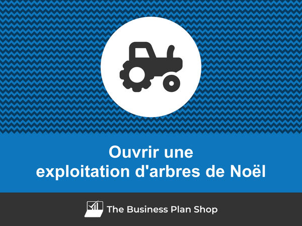 comment ouvrir une exploitation d'arbres de Noël