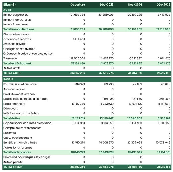 bilan comptable prévisionnel d'exploitation de graines de niger