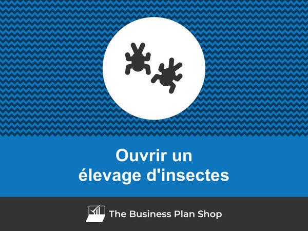 ouvrir un élevage d'insectes