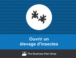 Comment ouvrir un élevage d'insectes&nbsp;?