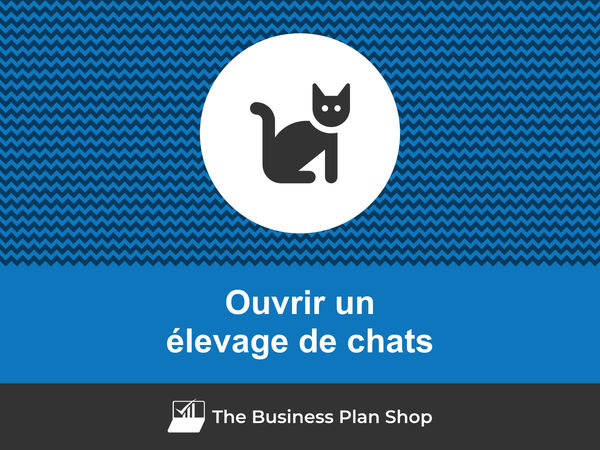 comment ouvrir un élevage de chats