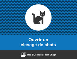 Ouvrir un élevage de chats