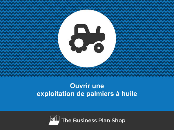 comment ouvrir une exploitation de palmiers à huile