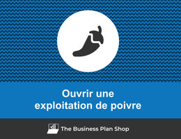 Comment ouvrir une exploitation de poivre&nbsp;?