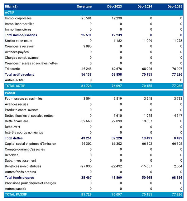 bilan comptable prévisionnel d'entreprise de pénéiculture