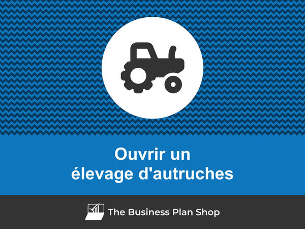 ouvrir un élevage d'autruches