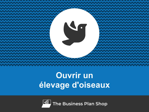 comment ouvrir un élevage d'oiseaux