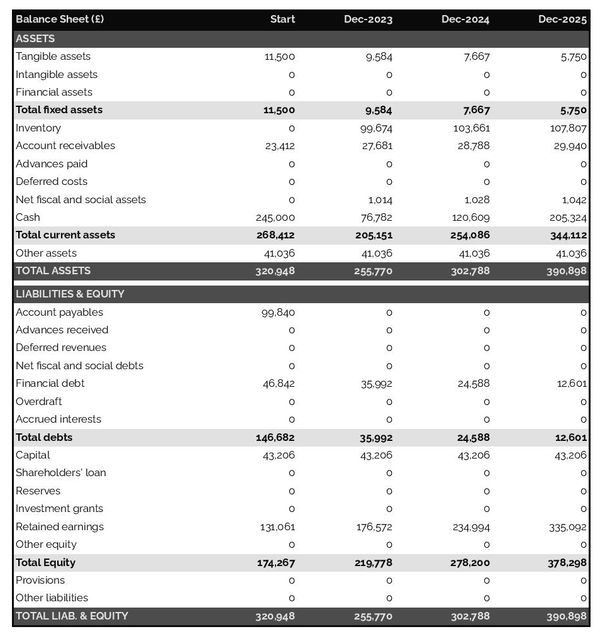excavation company startup balance sheet example