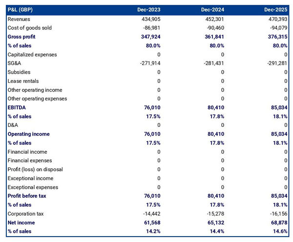 projected property inspection company startup income statement